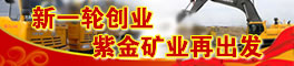 紫金矿业