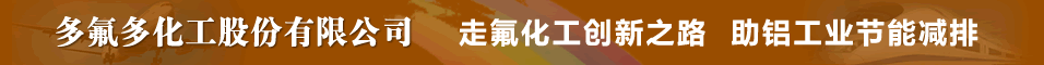 多氟多化工有限公司