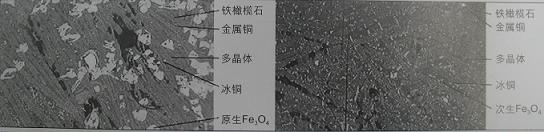 新闻图片20103271344481272347088453_9806.jpg