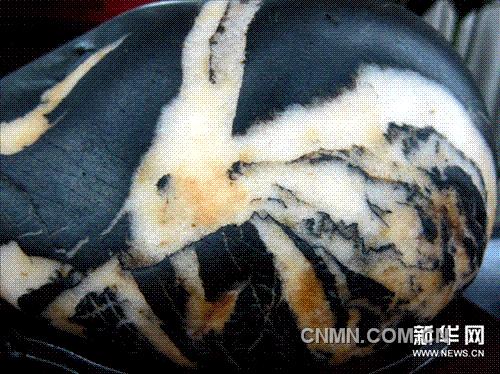一块石头上的石纹酷似羚羊（10月29日摄）