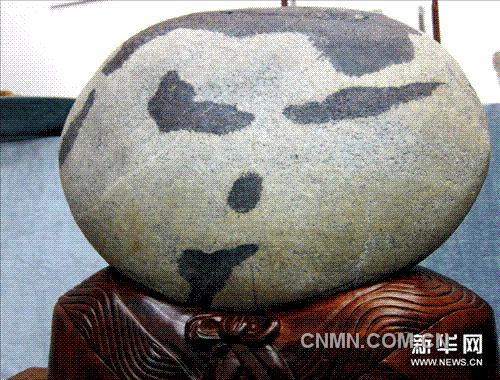 博览会上一块酷似娃娃脸的石头（10月29日摄）