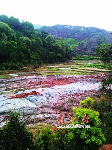 非法铝灰厂无牌照无厂名 污水玷污千亩农田