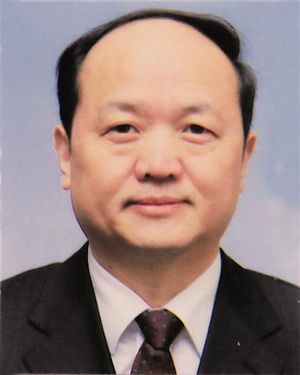 中国有色金属工业协会副会长 宋建民