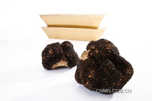 Black truffles and gold bars, close-up