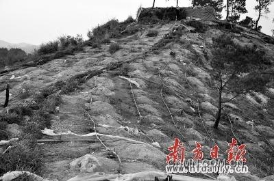 漫山遍野皆是网状酸液管道。