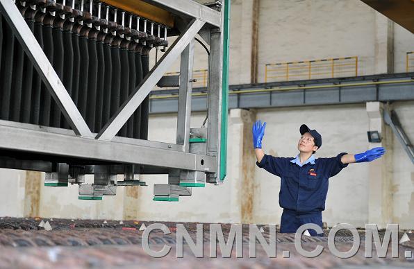 记十八大代表、白银有色集团职工刘素花