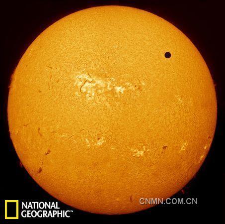 金星凌日