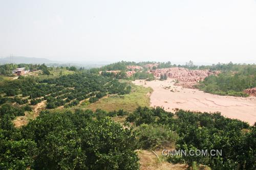 中华环保世纪行采访组考察废弃稀土矿山环境治