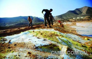 “洗净”重金属污染的土地（图）