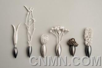 embed_11-nature-morte1357221399