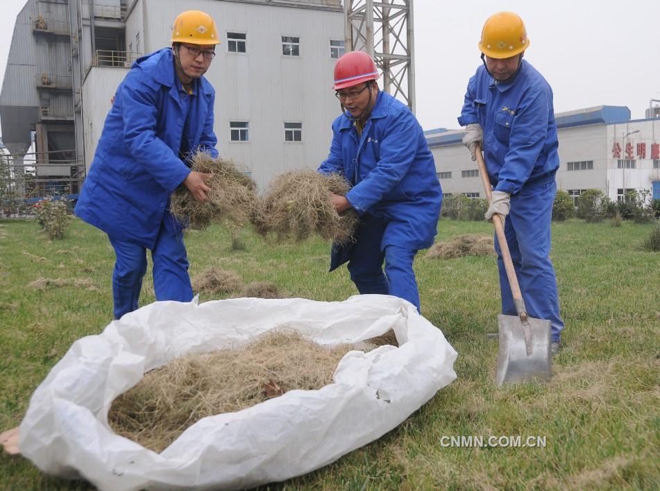 河南能源义翔铝业清除杂草，防火灾事故