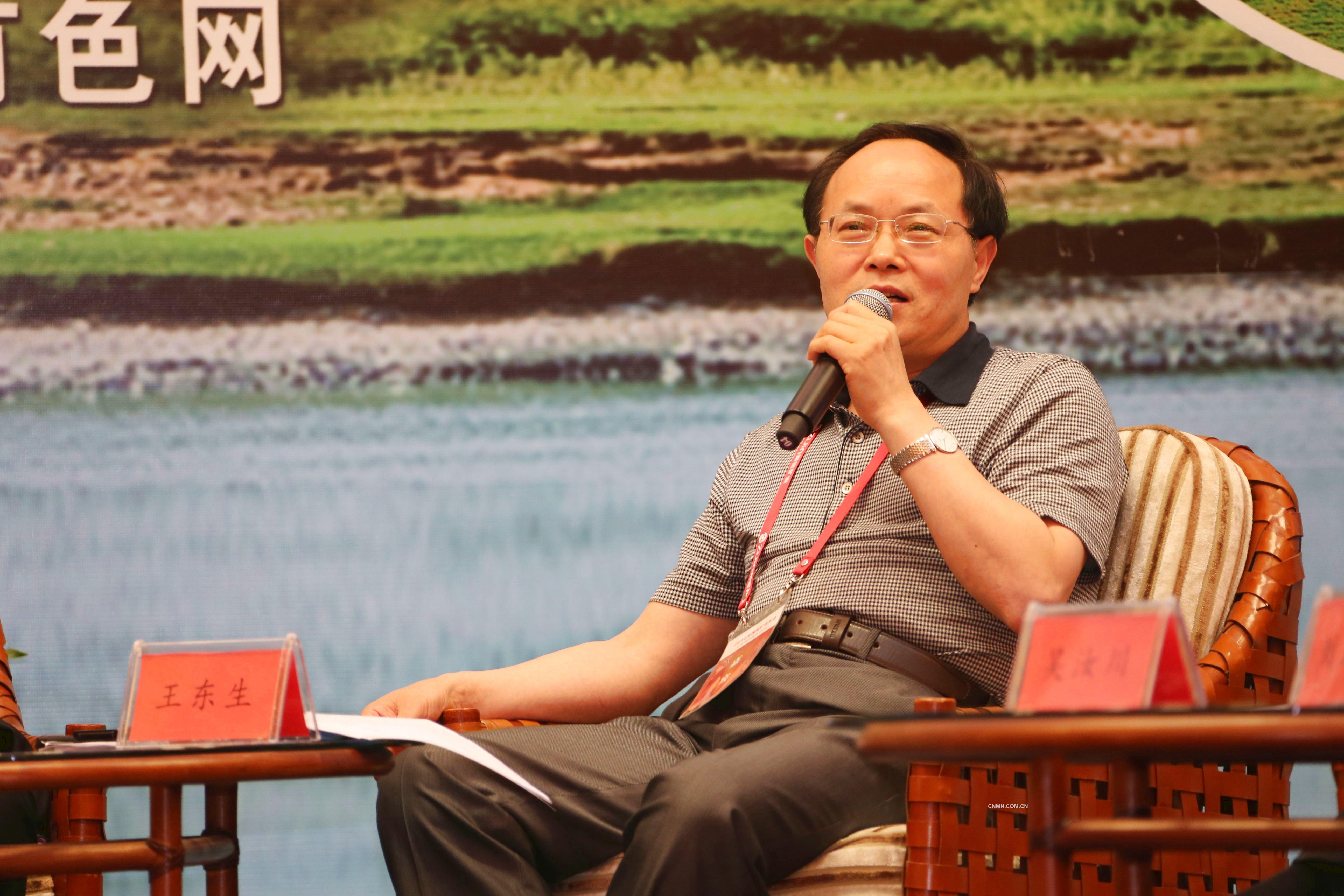 王东升