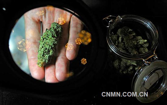 你要是宁财神，赞同大麻合法化吗？