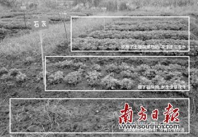 韶关是广东乃至全国重金属污染较严重的地区之一。几年来，各级政府部门高度重视，探索寻求修复重金属污染土壤的有效措施。据媒体公开报道，近日经省政府同意，省环保厅正式印发了《韶关市涉重金属行业环境综合整治方案（2015-2020年）》，计划投入27.8亿元，在韶关实施落后产能淘汰、产业整治提升、土壤污染修复治理示范、环境监管能力建设等四大类工程项目。在土壤修复方面，2020年底前力争完成8000亩以上受污染农田土壤修复。这无疑给罹患重症的土壤带来生机。