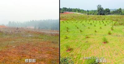 5b226acb-428b-4a52-8a5e-1ec8240f2b7c_size82_w400_h207