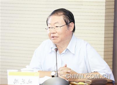 郭庚茂考察中铝国际在建项目