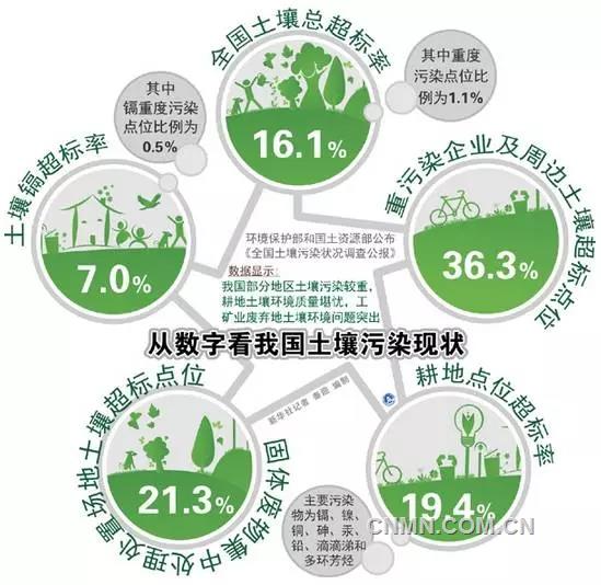 重金属污染“毒地”就这样焕发生机