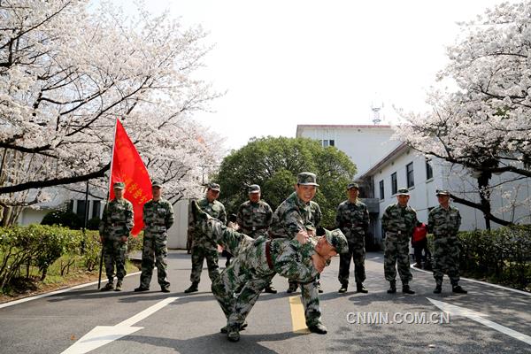 3月22日，阳光明媚，春意融融，铜陵有色安庆铜矿樱花绽放。该矿民兵应急分队队员们正在樱花树下展开擒敌技能大比武。据了解，这是一支平均年龄在三十岁以下、由青工组成的精干队伍，在矿山急难险重的工作中，都活跃着他们的身影，是一支作风过硬、纪律严明、能打硬仗的矿山“护卫队”。