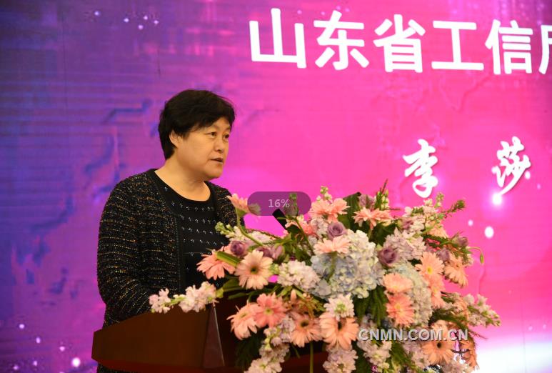 山东省工信厅副厅长李莎