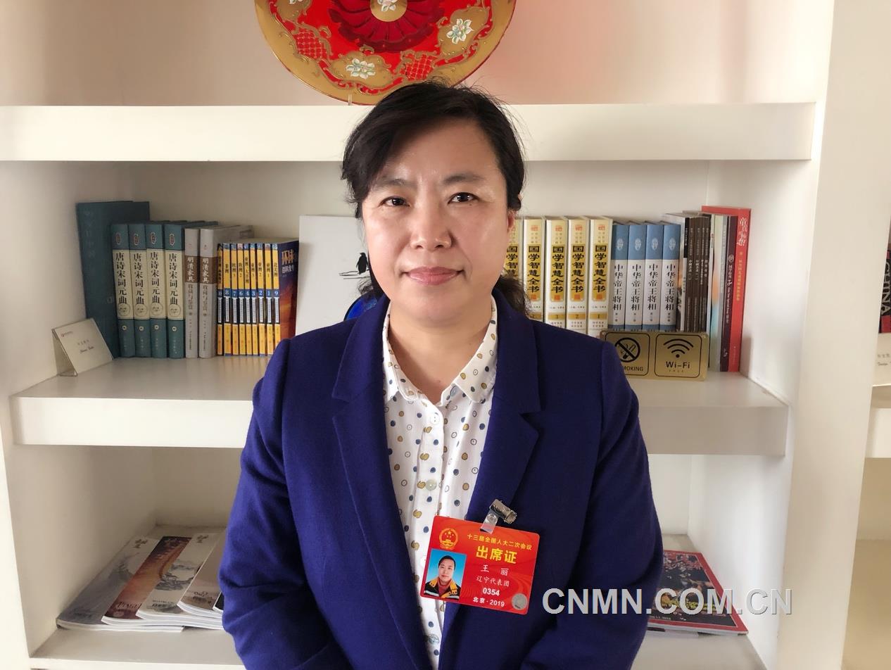 王丽代表:持续推进军民融合深度发展