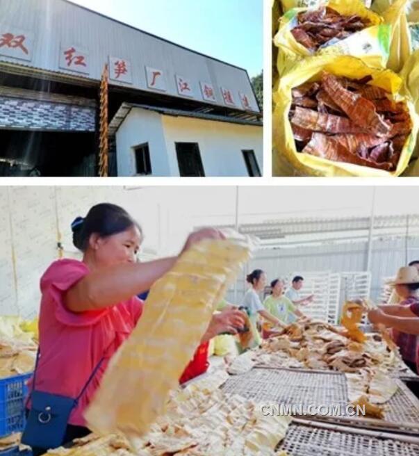 媒体走进江铜援建双红笋厂