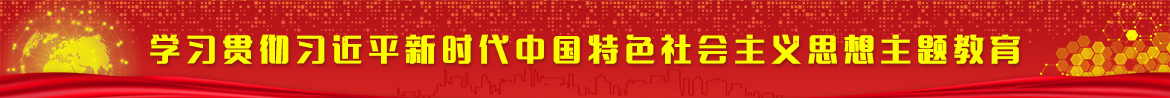 学习贯彻习近平新时代中国特色社会主义思想主题教育