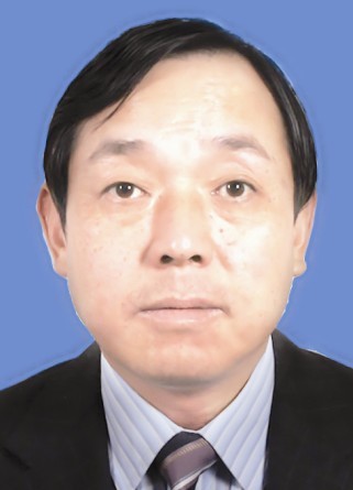 中国有色金属工业协会专职副会长 王健