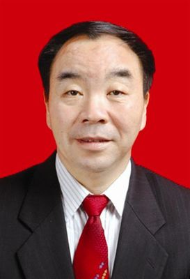 中国有色金属工业协会副会长 张洪恩
