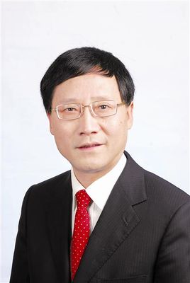 中国有色金属工业协会副会长 董英