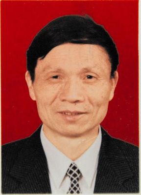 中国有色金属工业协会副会长 黄伯云