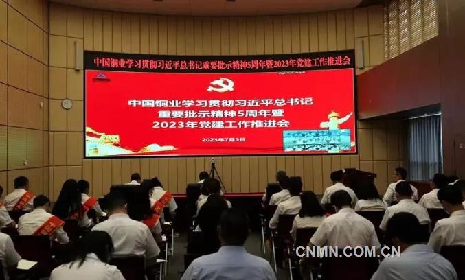中国铜业加快建设世界一流优秀铜铅锌企业