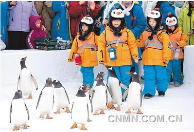 新春走基层｜冬季到哈尔滨来看雪