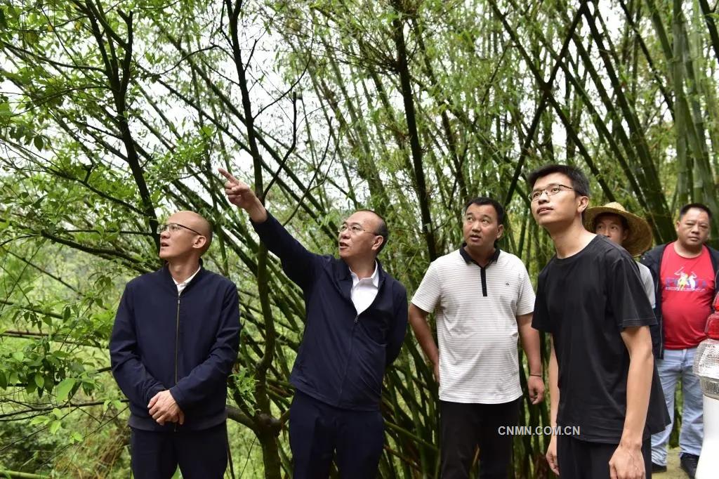 雲錫定點幫扶結碩果
