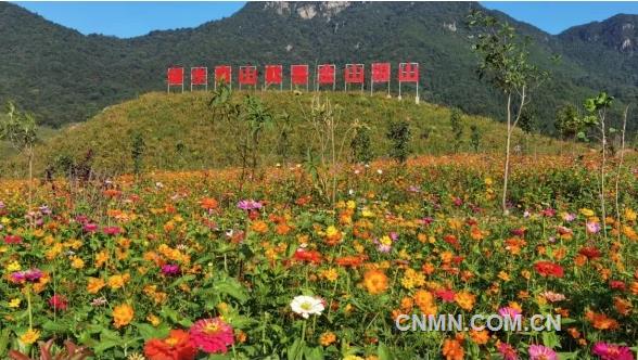 【向新而行】广晟控股集团全力打造绿色矿业 因企施策发展新质生产力