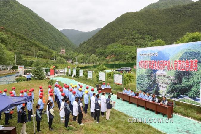 西北有色地矿集团、陕西黄金集团上半年交出亮眼成绩单