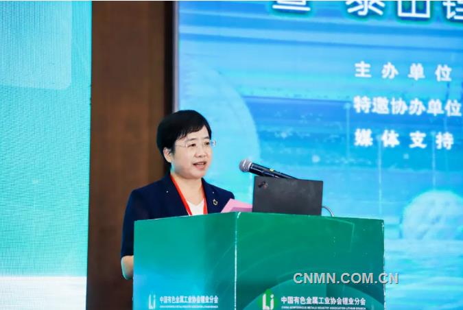 2024年中國鋰業大會•第二屆鋰電新能源發展大會在山東肥城召開