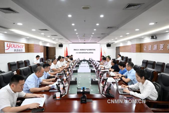 陕西有色金属集团产业项目研究院召开2024年科研项目专业评审会