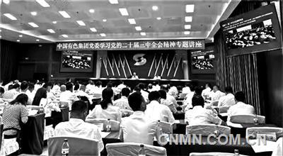 牢记重托守正创新 聚焦使命再启新程 中国有色集团深化开展“大学习大融合大提升”专项行动