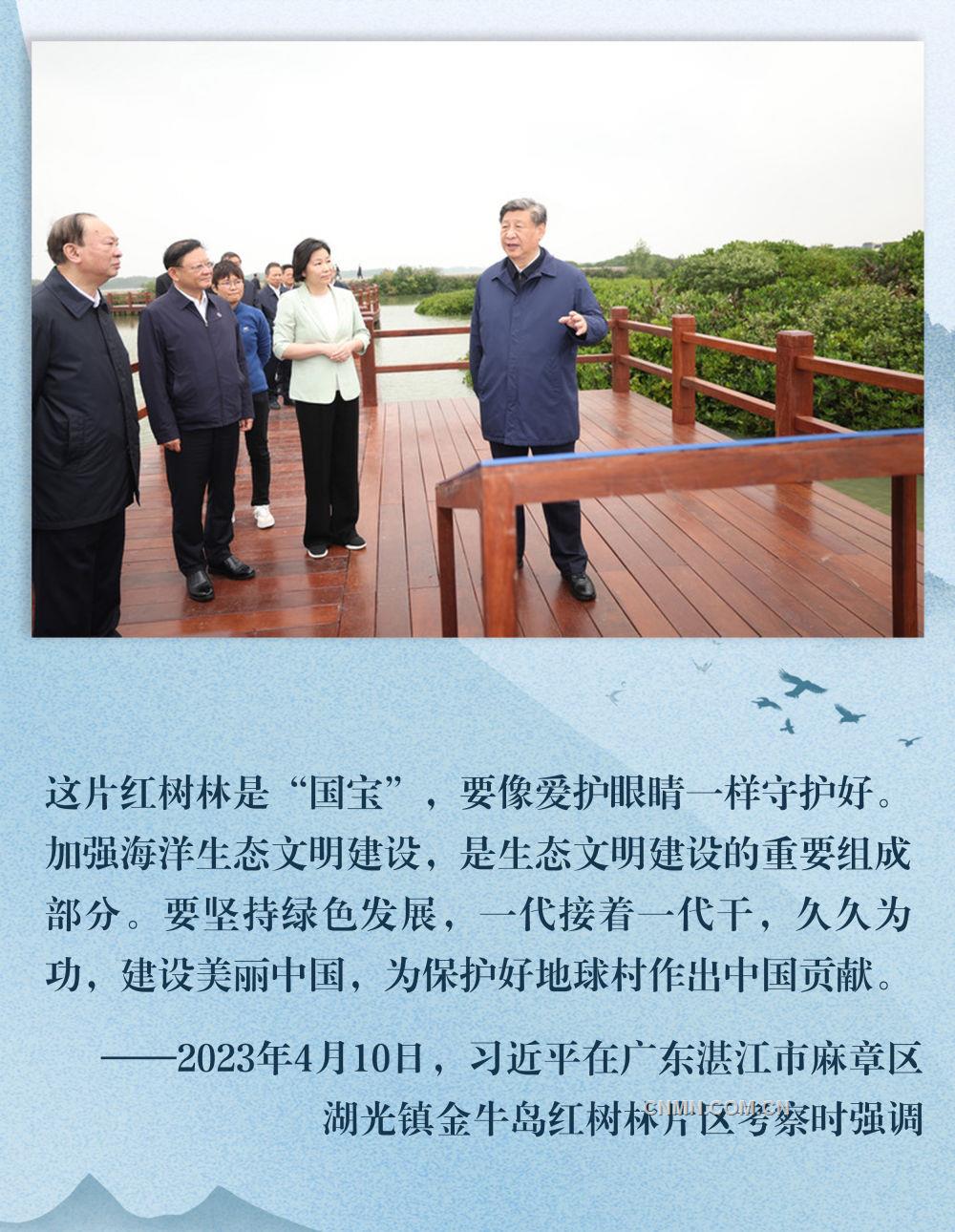 鏡觀·領航｜鞏固發展新時代生態文明建設成果