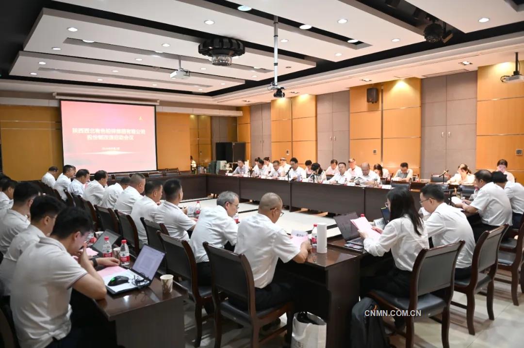 西北有色地矿集团启动铅锌集团股份制改造