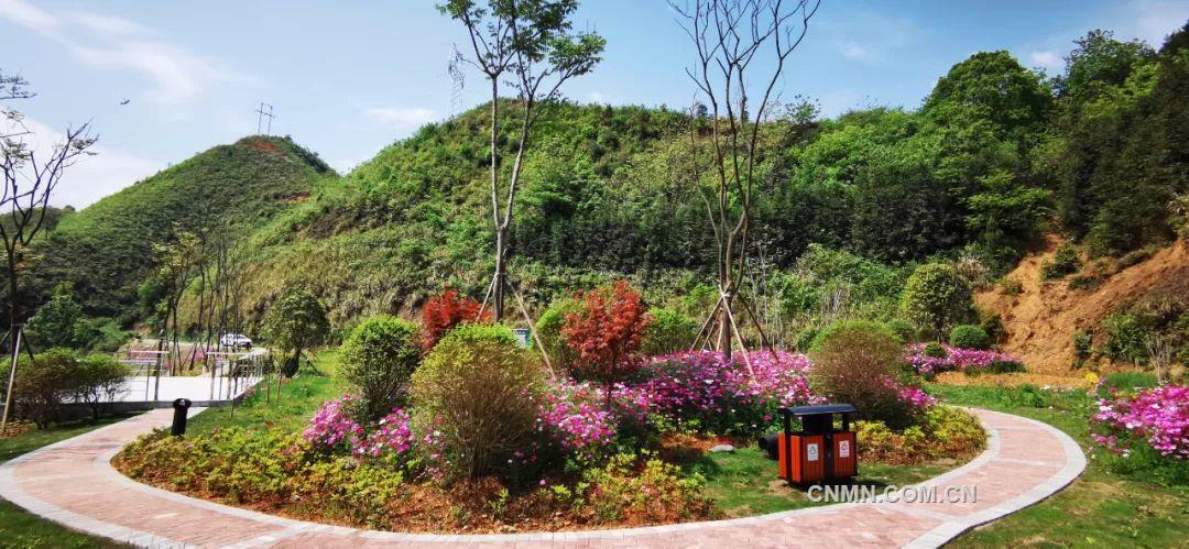 践行“两山”理念 尽染万里青绿——矿冶集团生态文明建设工作纪实