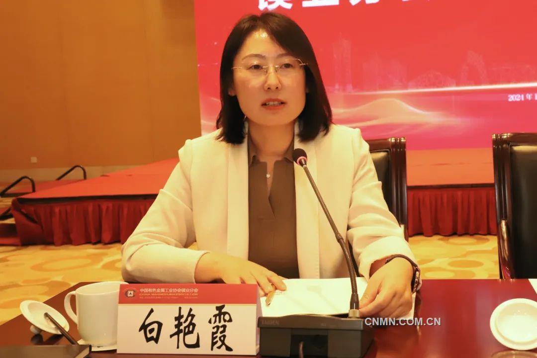 中国有色金属工业协会镁业分会第五届理事会第四次会议召开