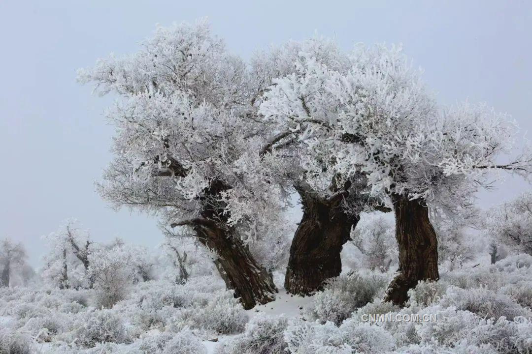 西部矿业“玩”出新疆文旅增长极