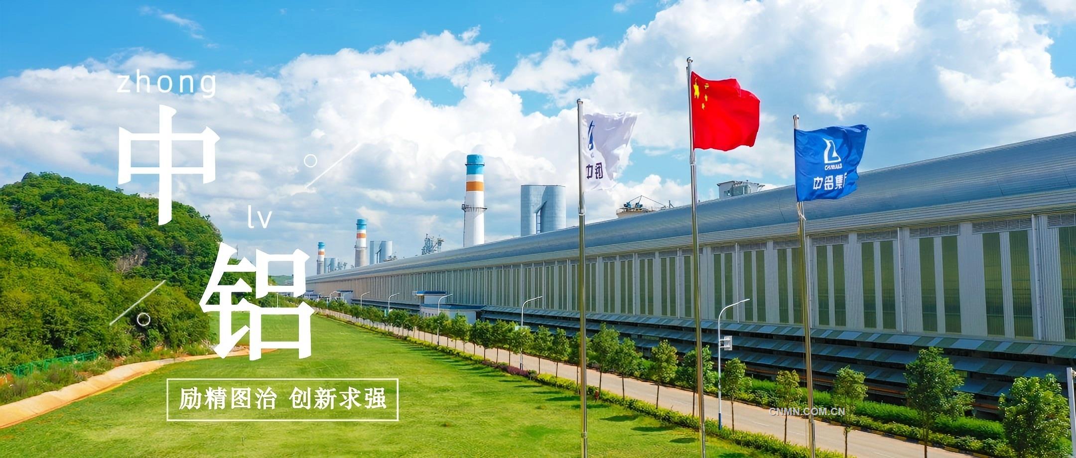 中铝集团董事长段向东会见国际铝业协会秘书长迈尔斯·珀瑟