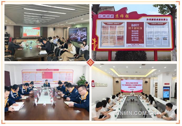 中国稀土集团一体推进“学查改” 以严实作风护航高质量发展