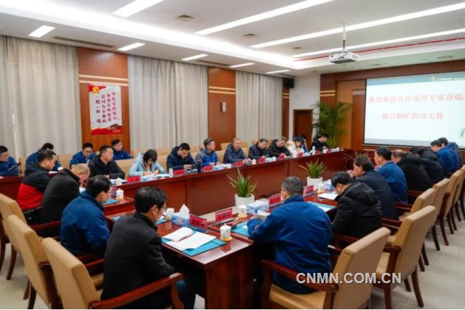 科技部组织院士专家到德铜调研
