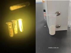 江西理工大学研发出高性能锑基钙钛矿发光材料