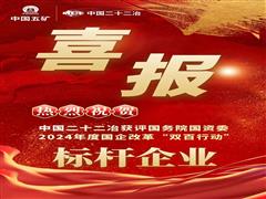 中国二十二冶再度荣膺“双百行动”标杆企业