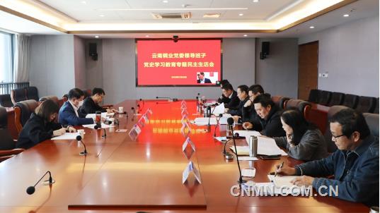许波在云南铜业领导班子专题民主生活会上强调——心系“国之大者” 走好新的赶考之路